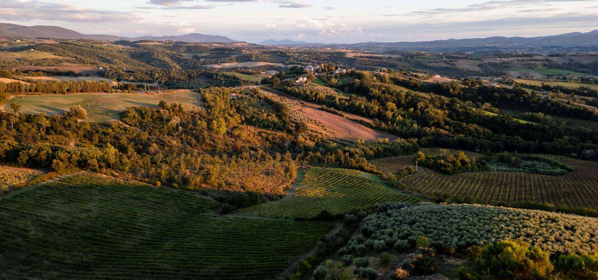 0166_dji_0258-migliorato-nr