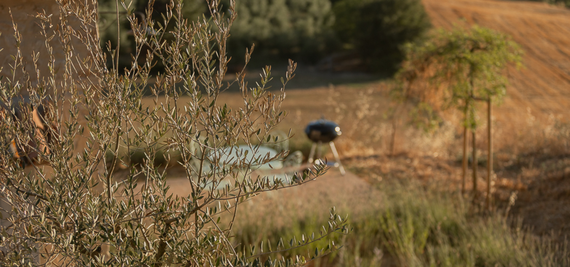 7N3A5456