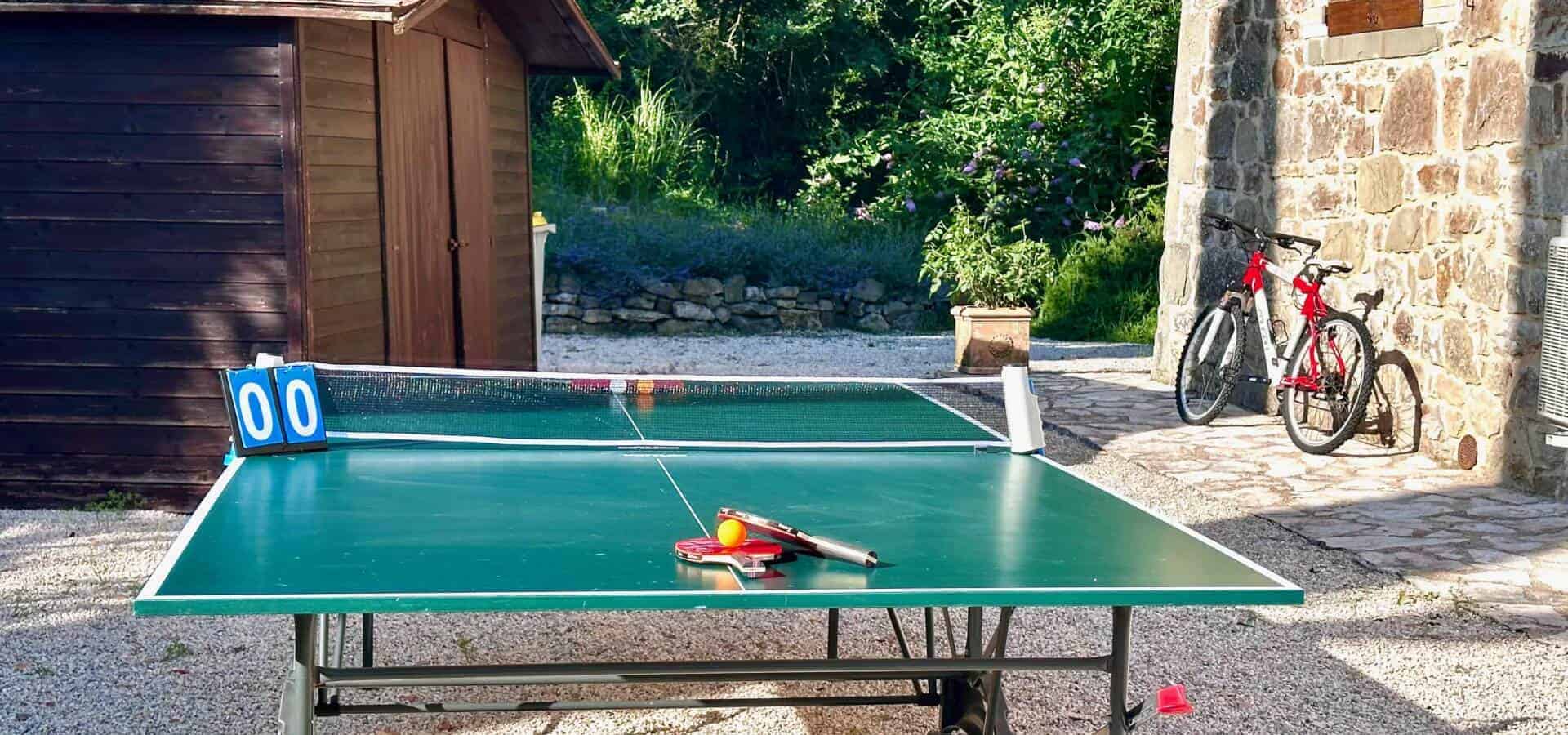 Ping-Pong Table