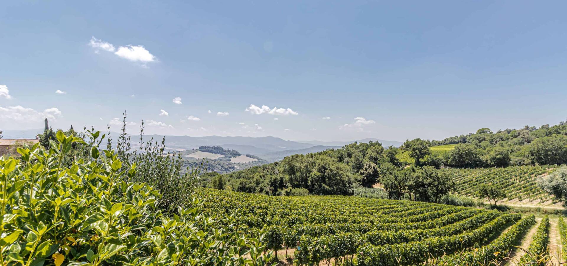 MONTECATINI VAL DI CECINA - Esterni-31