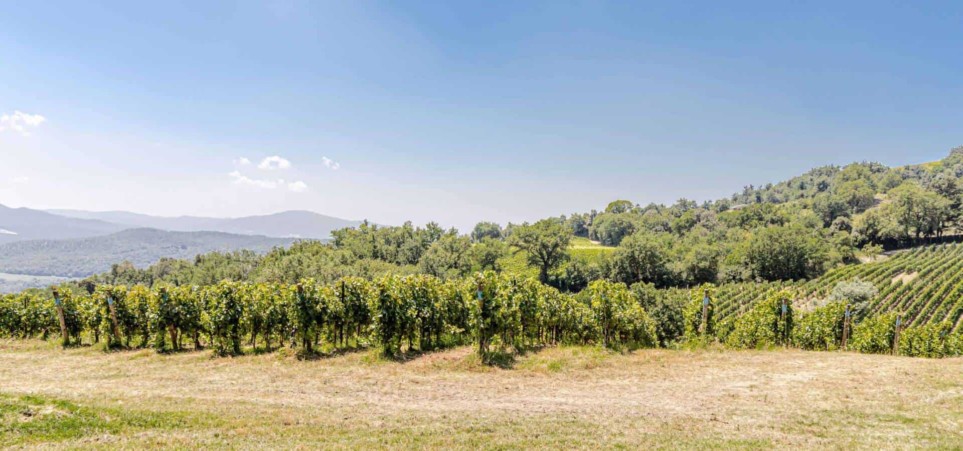 MONTECATINI VAL DI CECINA - Esterni-40