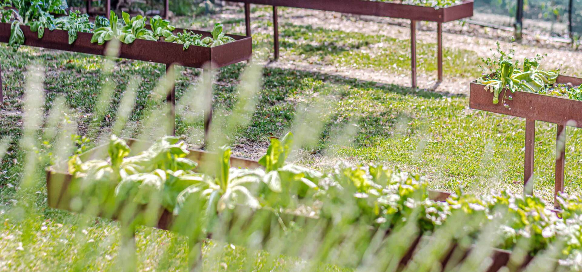 MONTECATINI VAL DI CECINA - Esterni dettagli-8