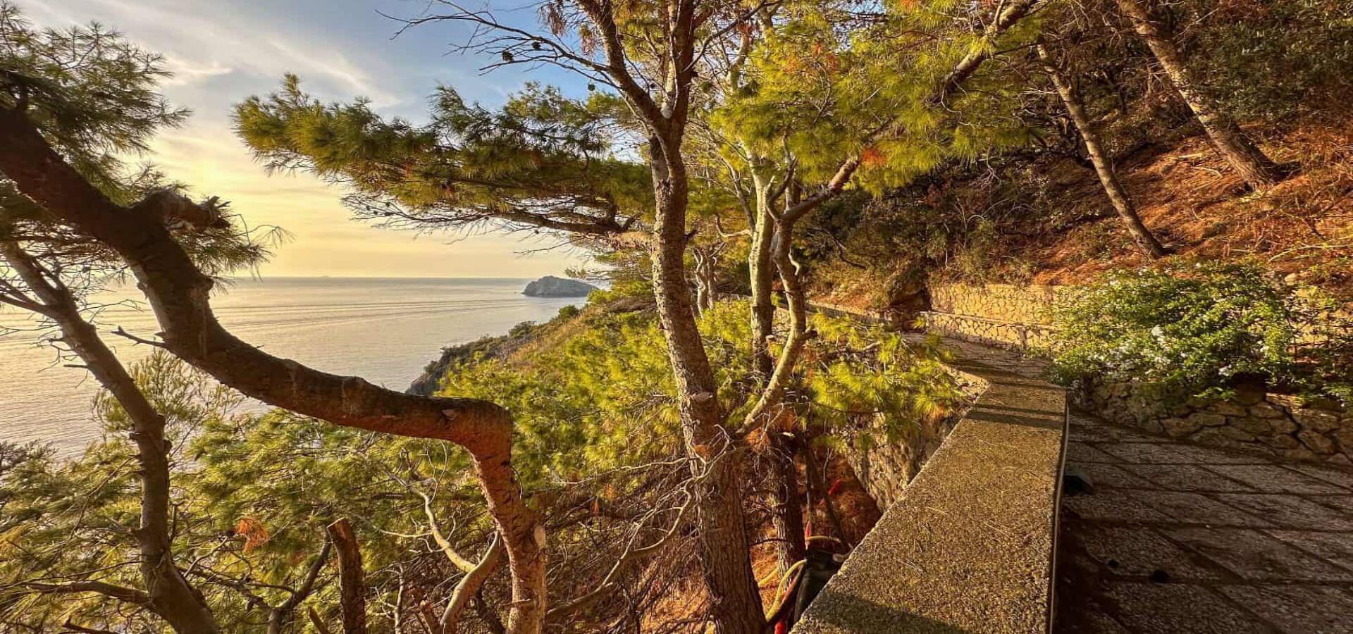 WhatsApp Image 2024-10-15 at 16.14.46