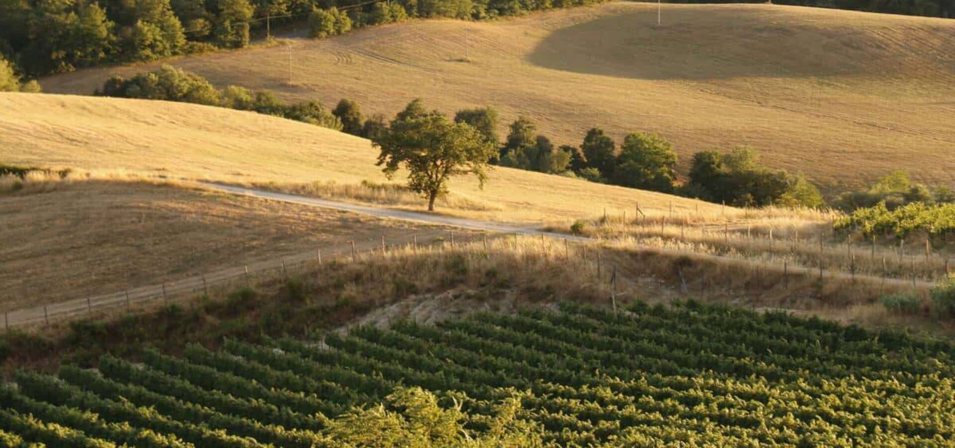 4148ad81-a84c-40cd-9f78-e9394187bbea