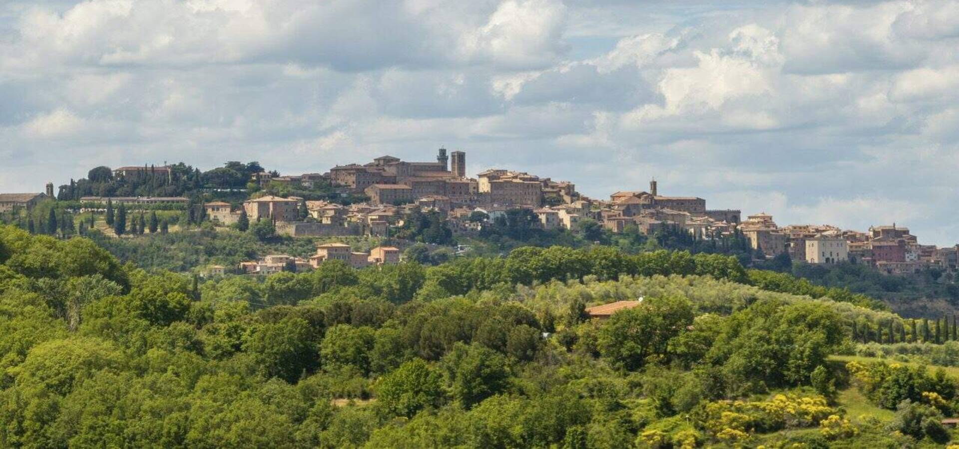 43 Montepulciano copia