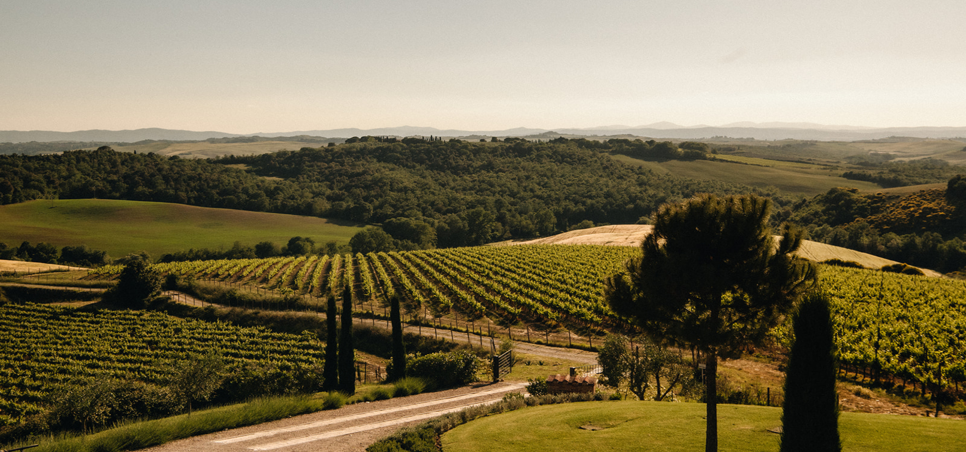 Podere Invidia