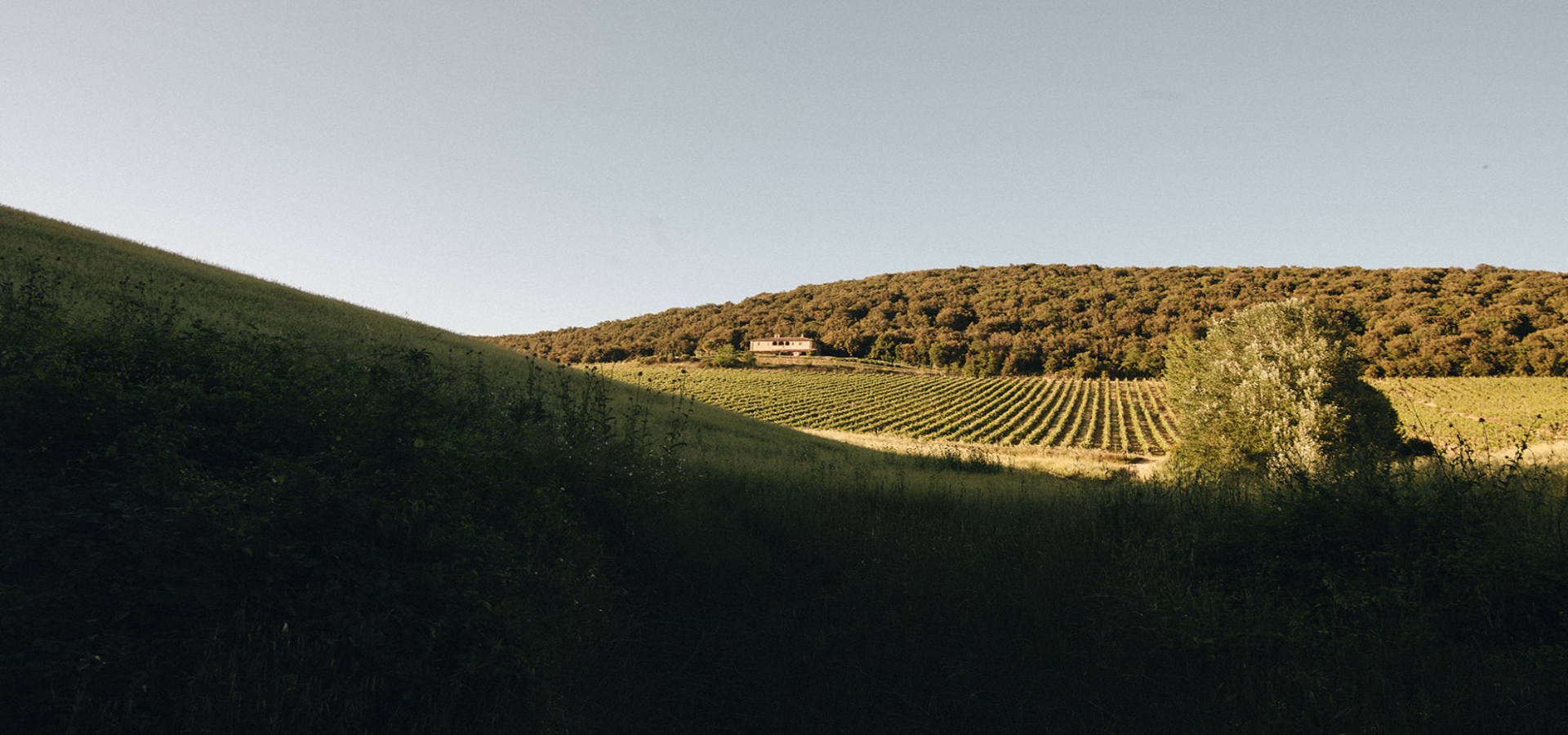 Podere Invidia