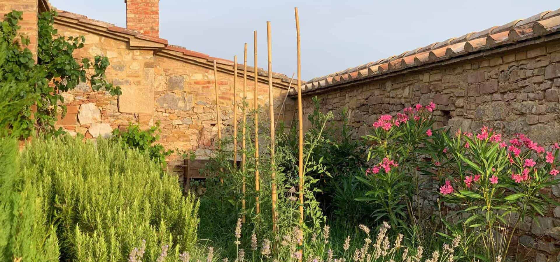 C3D58286-8059-4CF4-A140-CC669C95EB4C