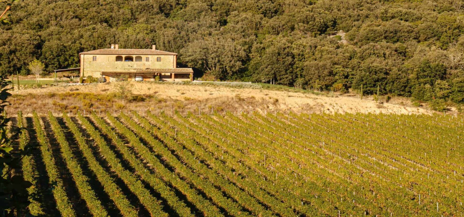 FD28E9E1-775F-4BE9-AD6B-DD116CE55139