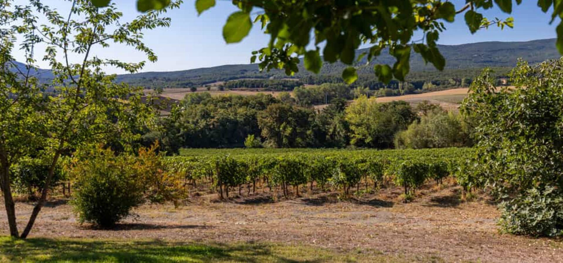 CDC_CetenaRossa_view_lo_res_RGB-3