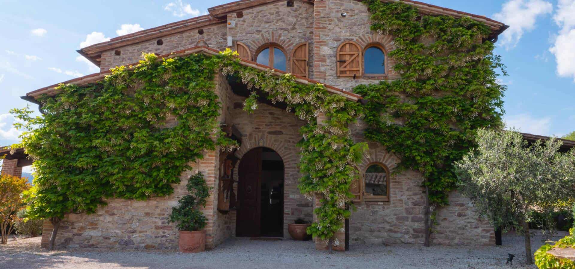 Casale Degli Olivi 02-9