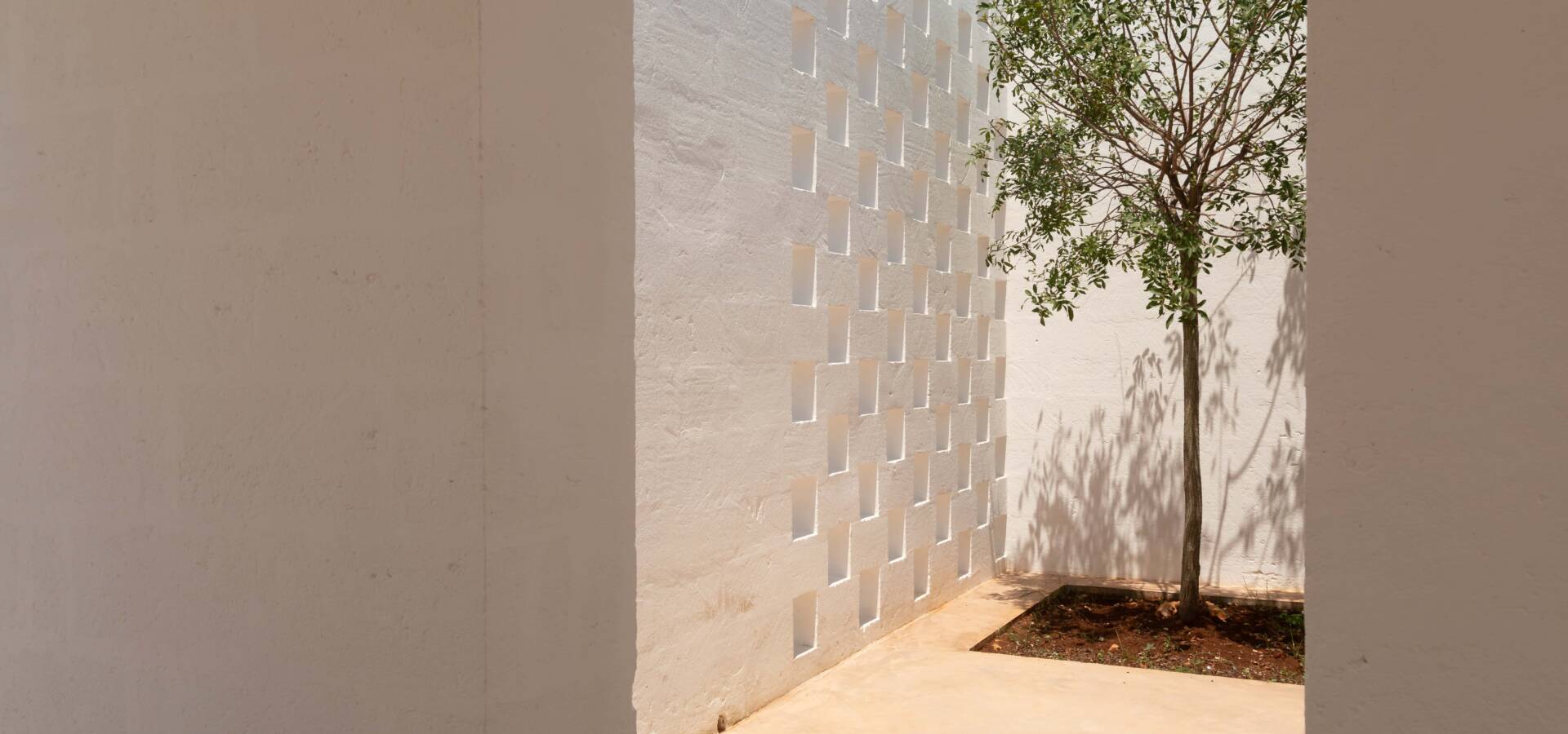 IMG_5947-Enhanced-NR