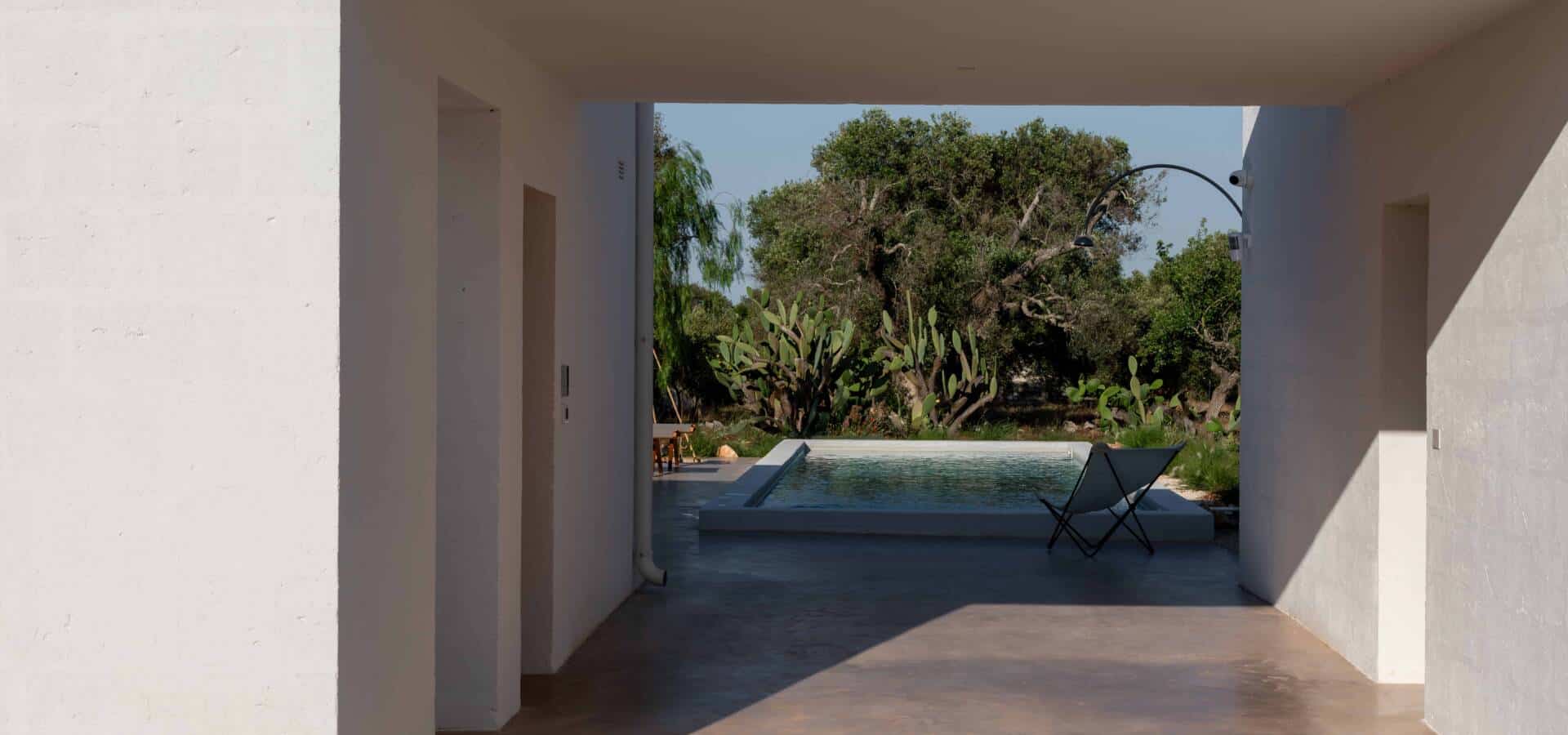 IMG_6087-Enhanced-NR