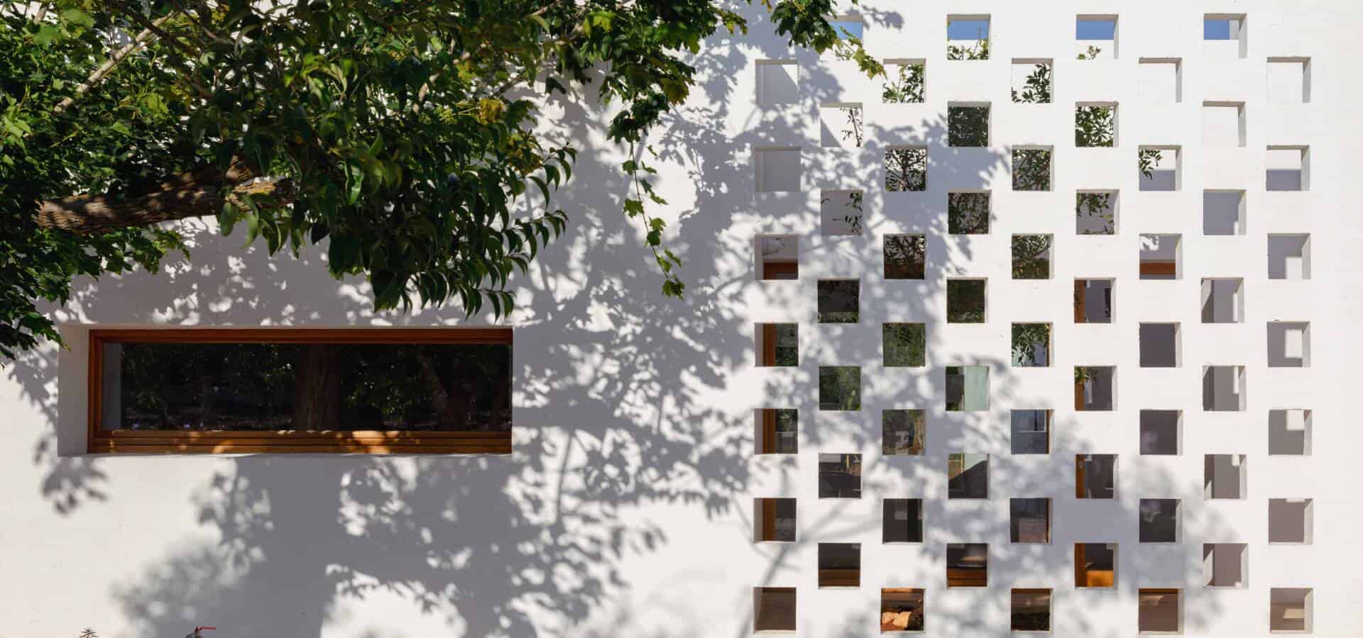 IMG_6089-Enhanced-NR