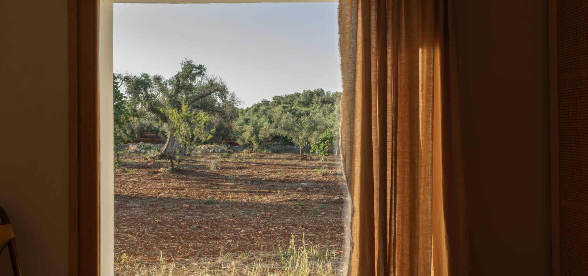 IMG_6117-Enhanced-NR