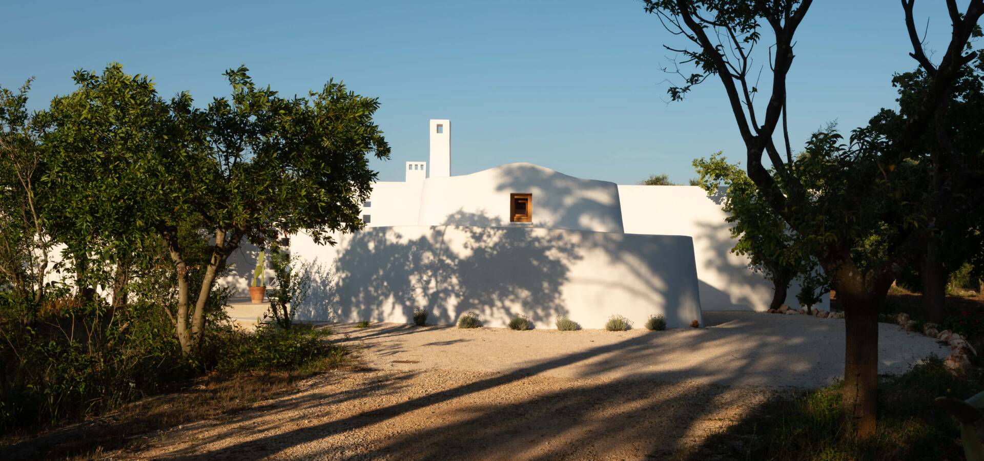 IMG_6127-Enhanced-NR