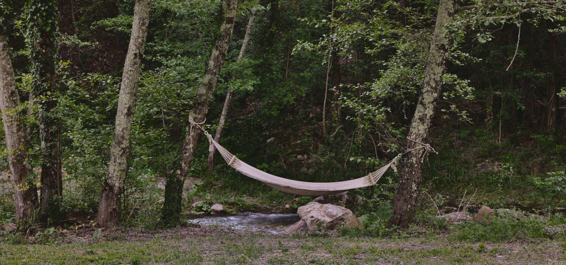 Mulino_dell_Abate_183