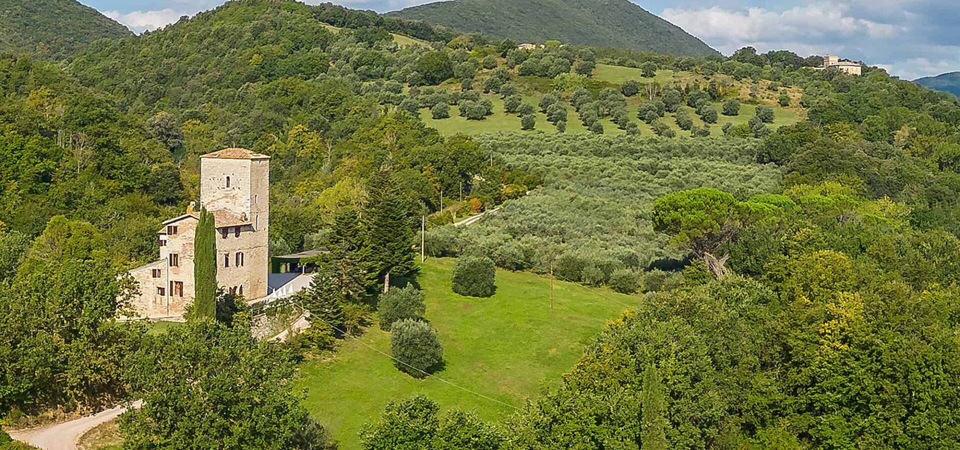 The Tower Palace villa