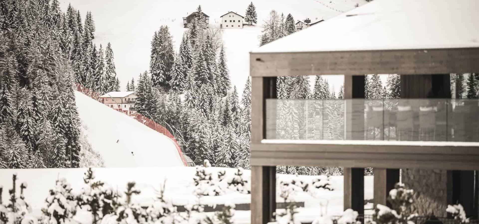 (c) Hannes Niederkofler_WEB-2921