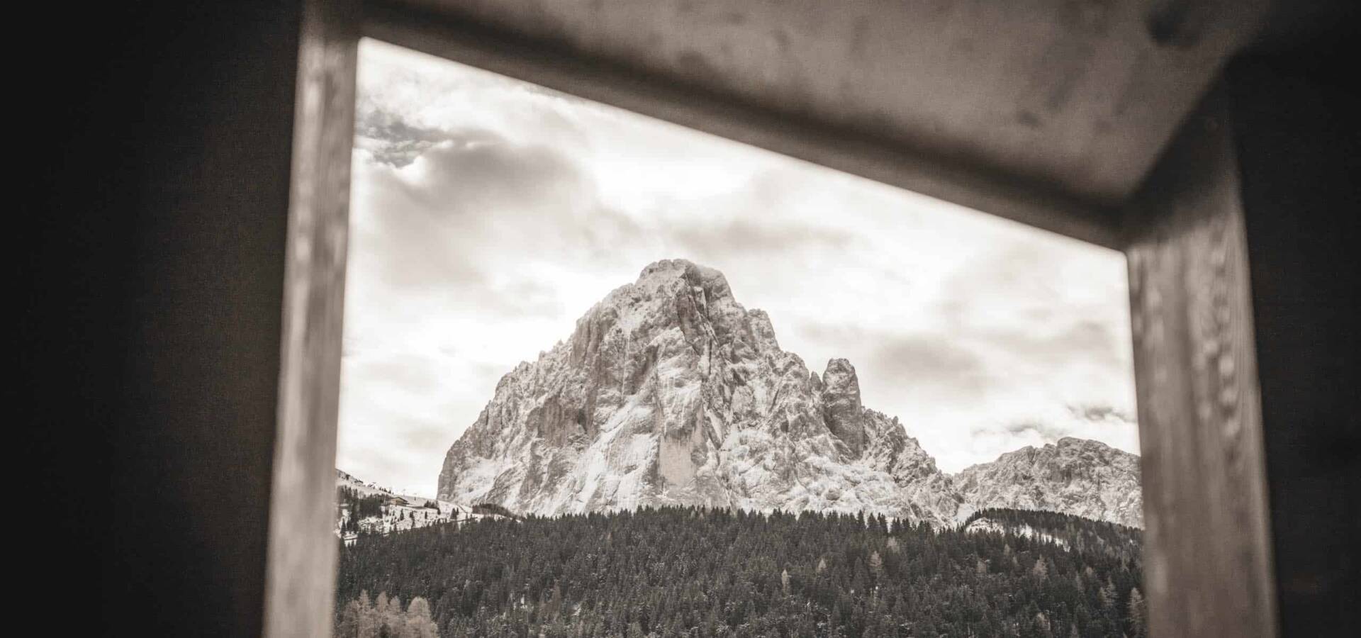 (c) Hannes Niederkofler_WEB-5501