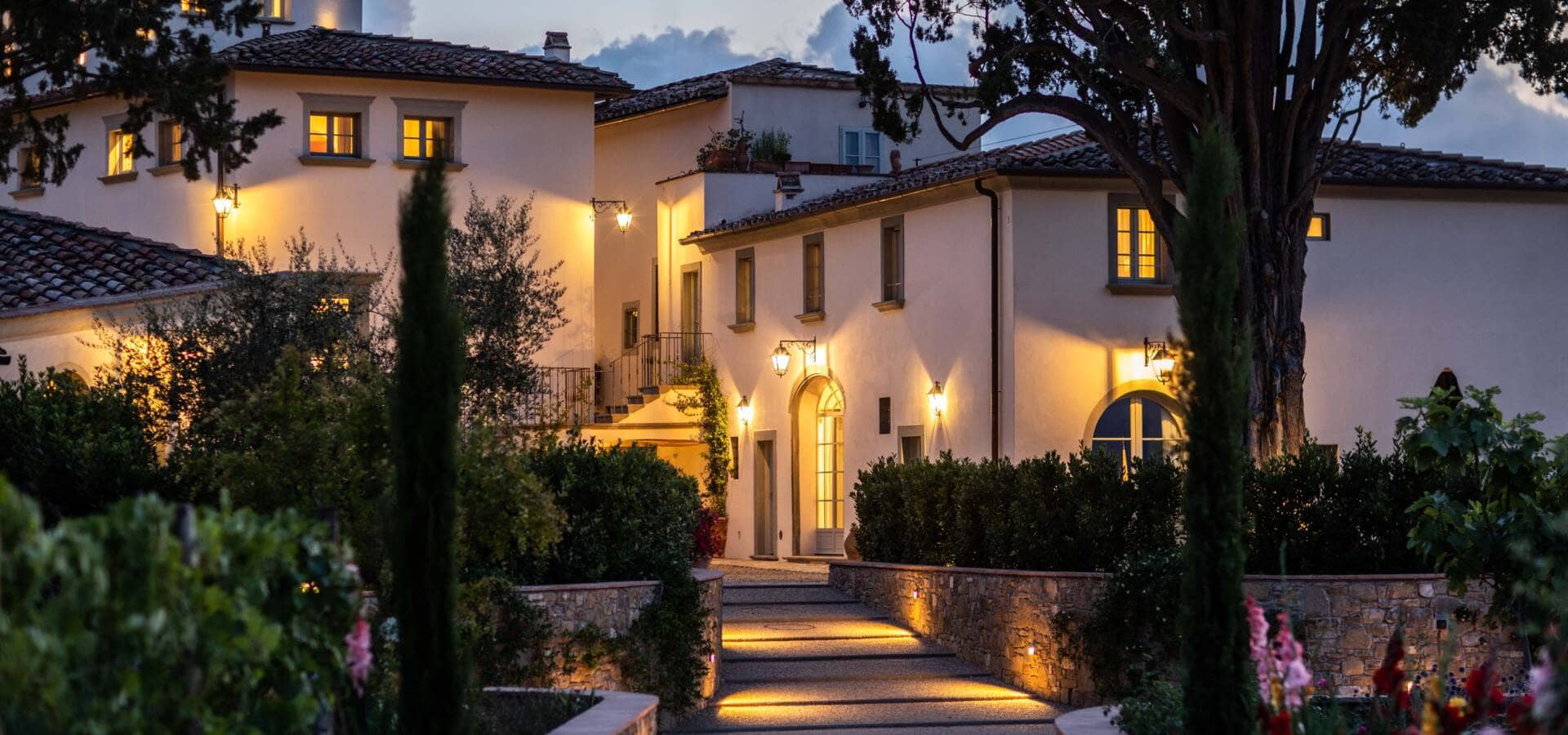 DG_Evening_Moggi May 2023