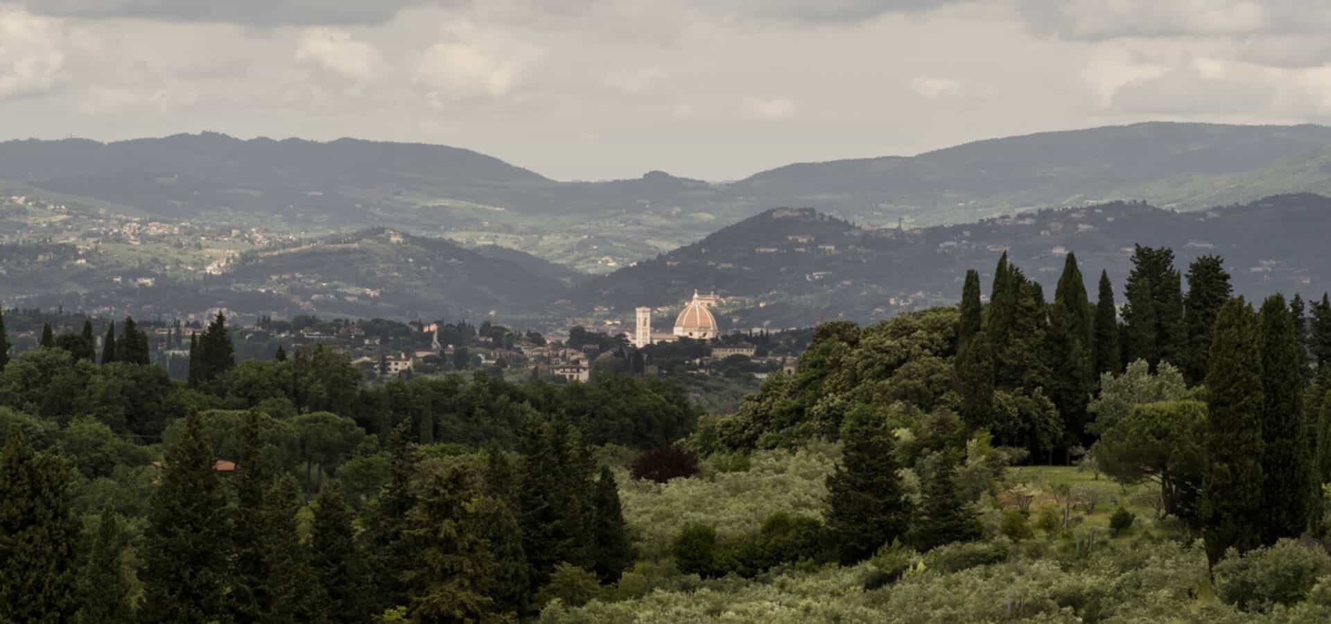 DG_Exterior_Florence view_Moggi_June2024 LR