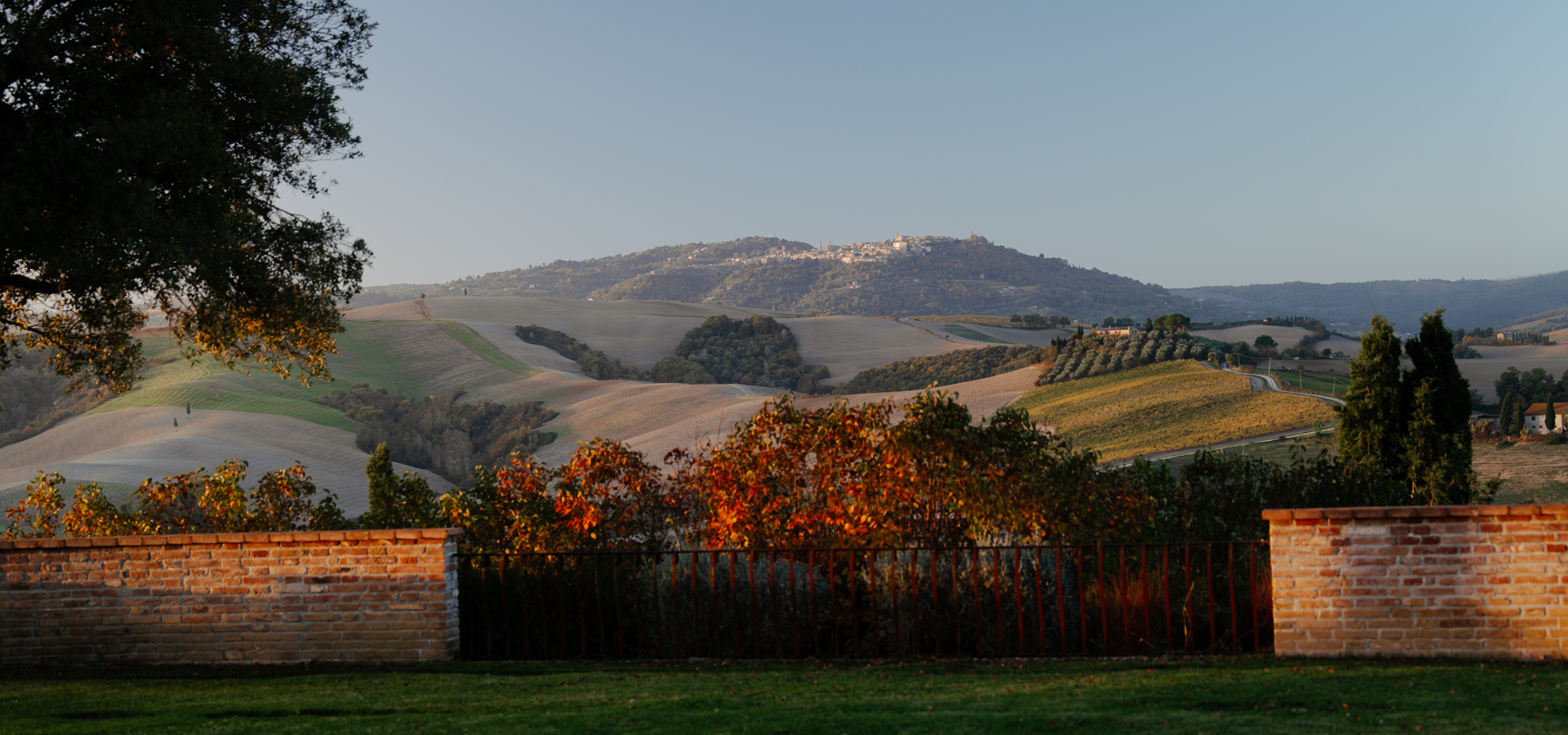 Montelandi-GaborNagy-MontalcinoFromGarden-lores-5
