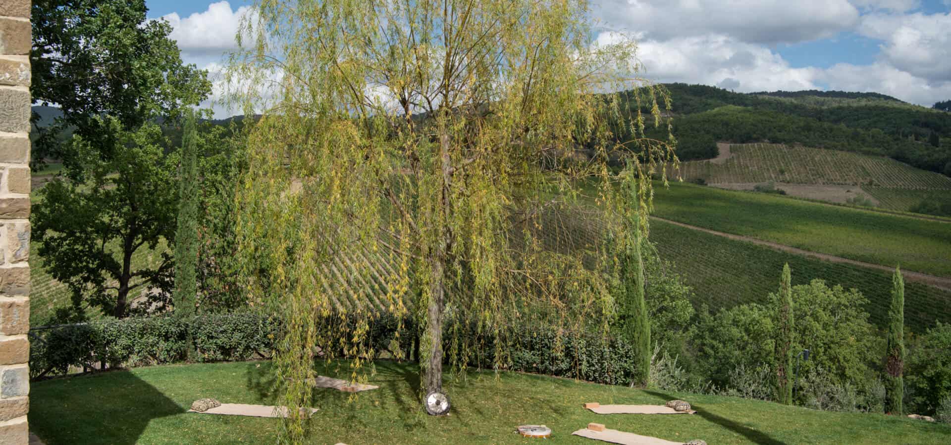 castiglioni.si.21-1349