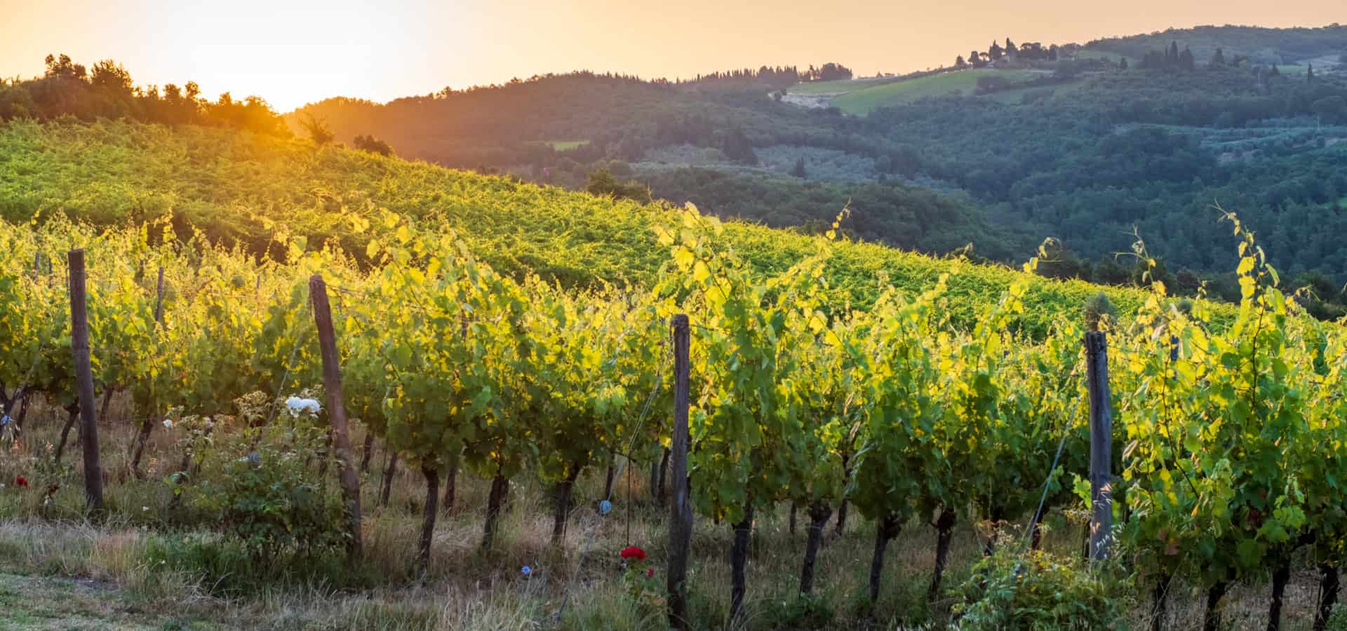 poggio-alle-corti-tuscany-68