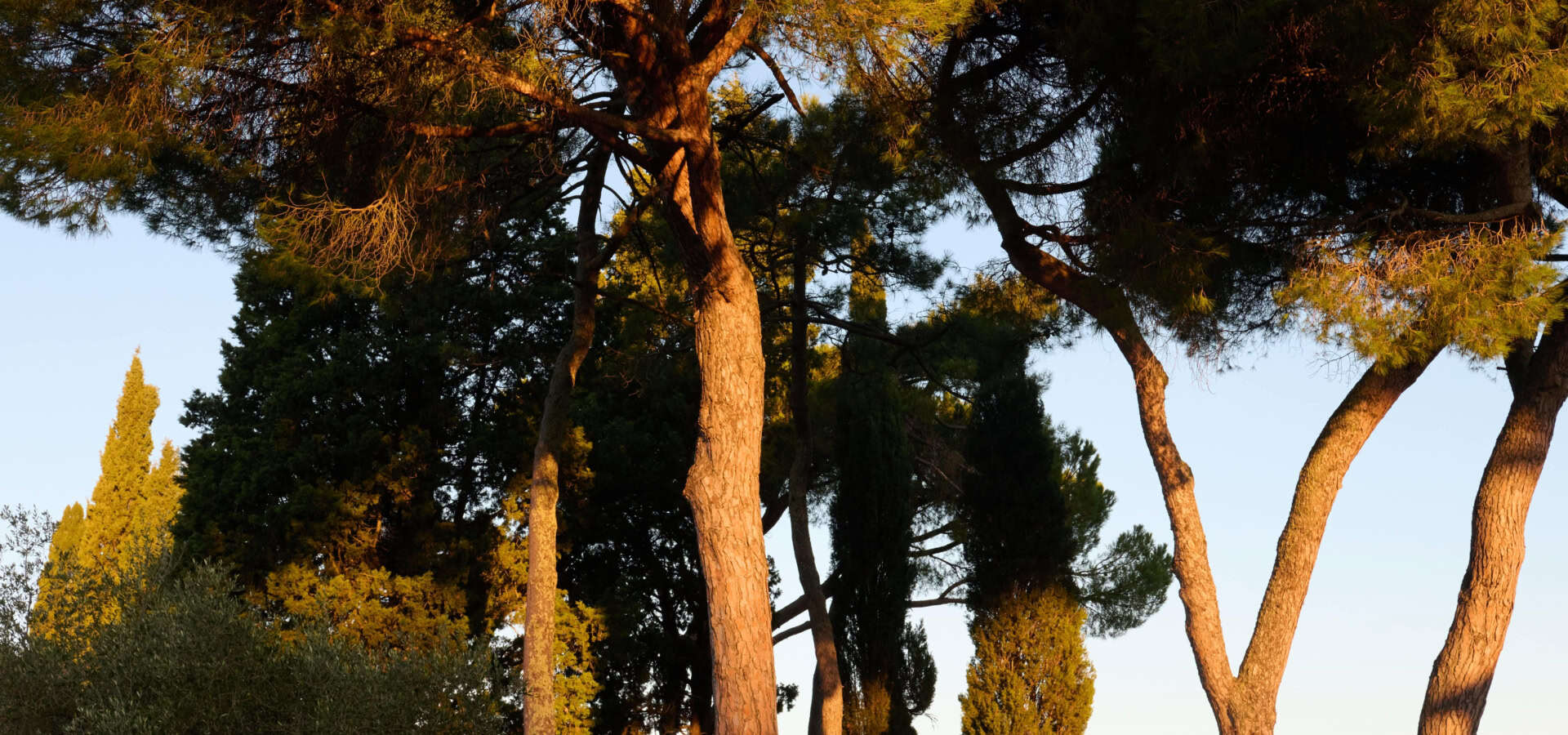 VillaMamo_10_12-10-25_SHOT_02_0073-min