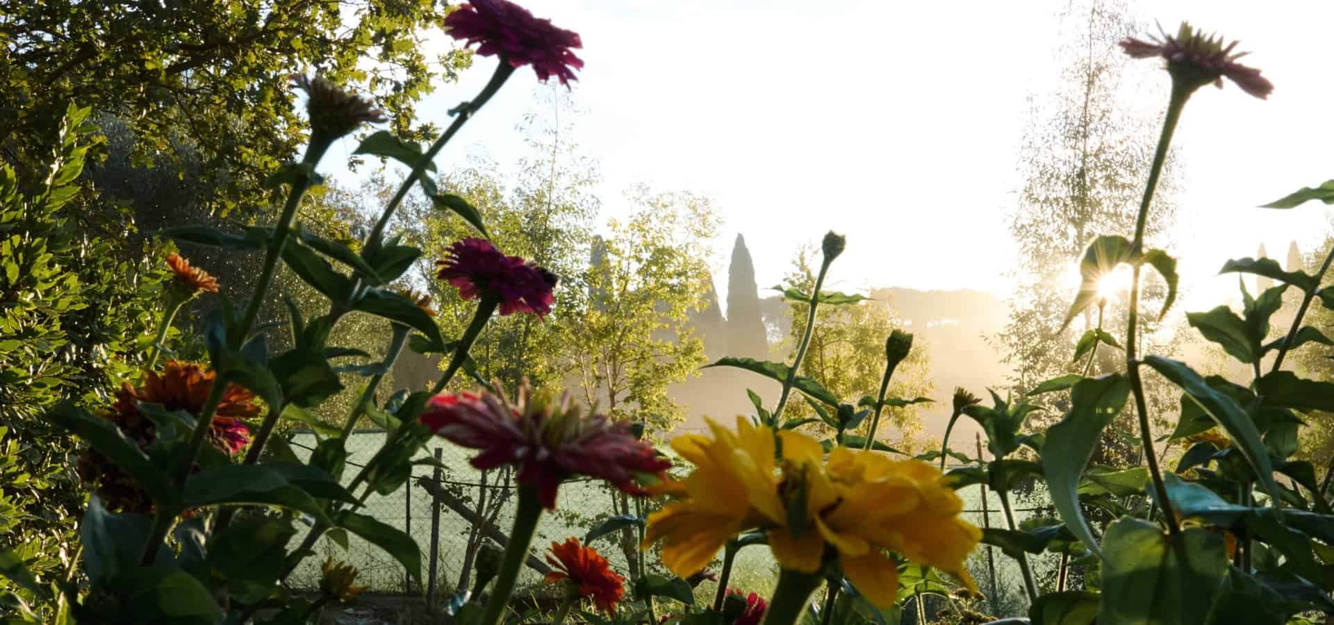 VillaMamo_10_12-10-25_SHOT_02_0105-min