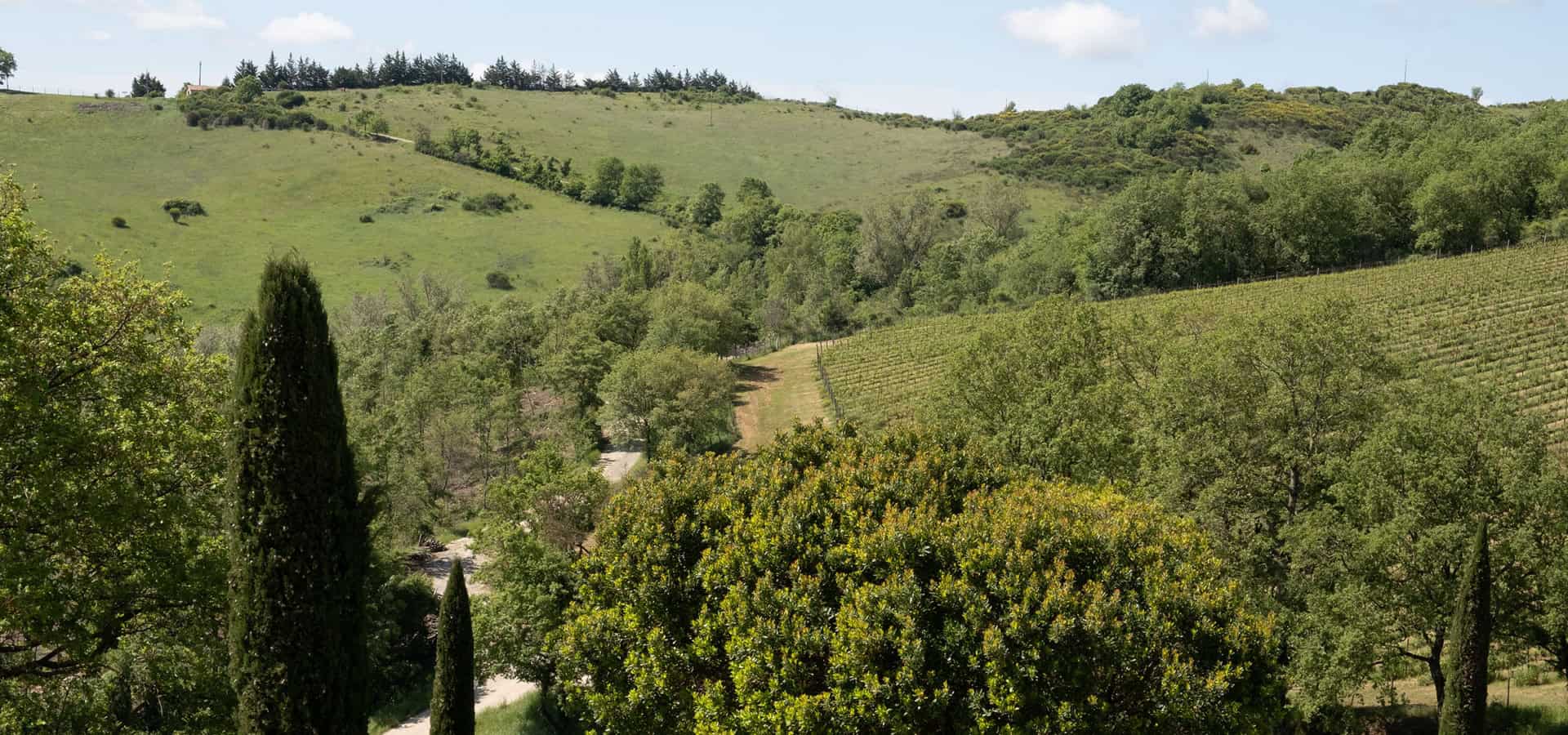 Torre_Bisenzio_MAY25_05