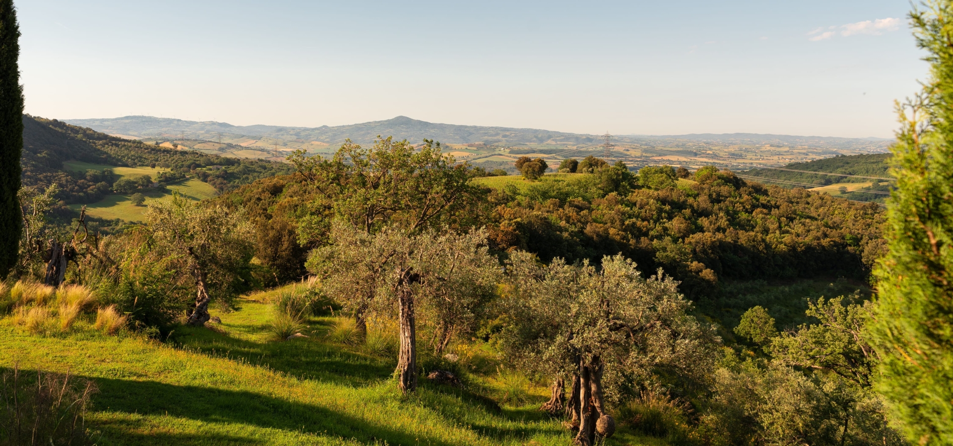 CastelloVicarello050