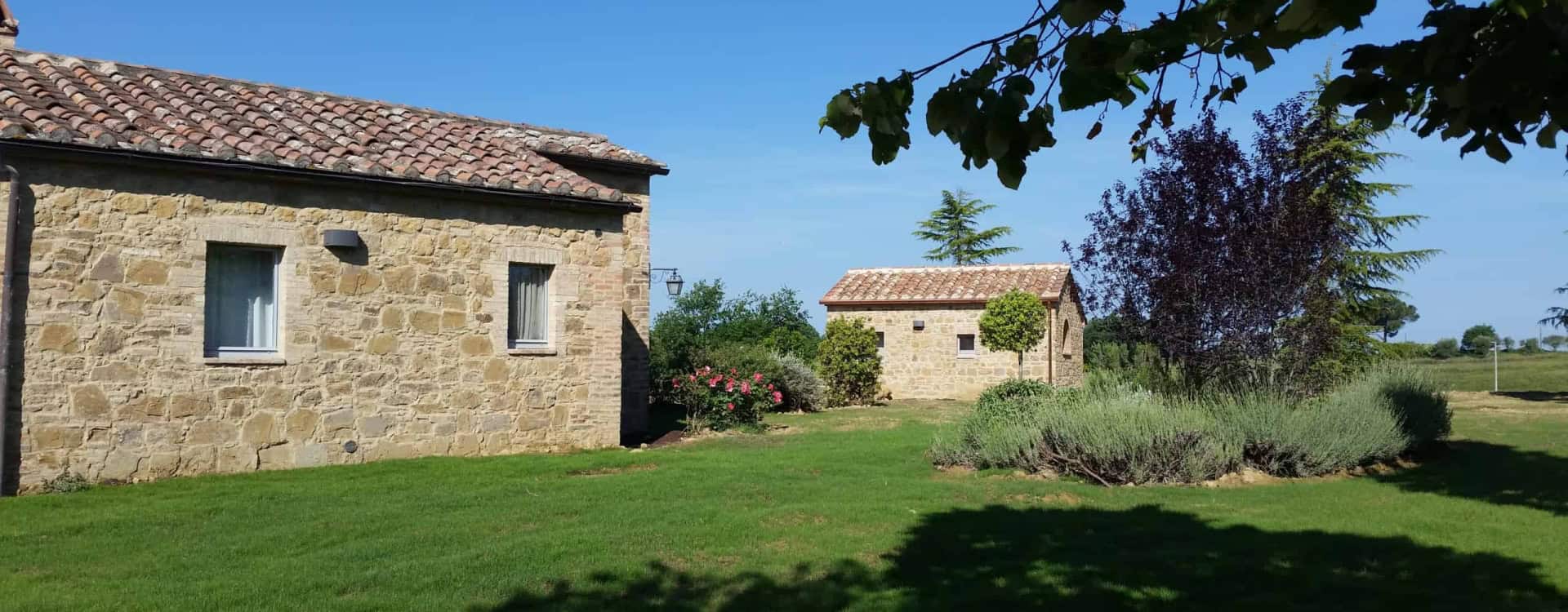 Suite cottage and cottage BACK